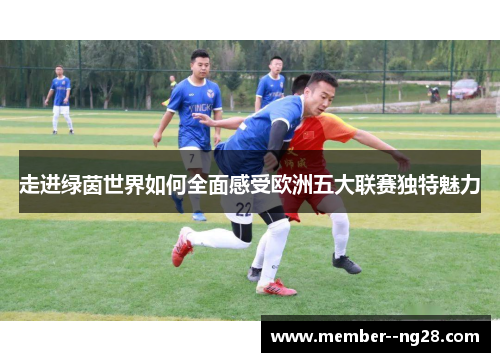 走进绿茵世界如何全面感受欧洲五大联赛独特魅力 走进绿茵世界如何全面感受欧洲五大联赛独特魅力