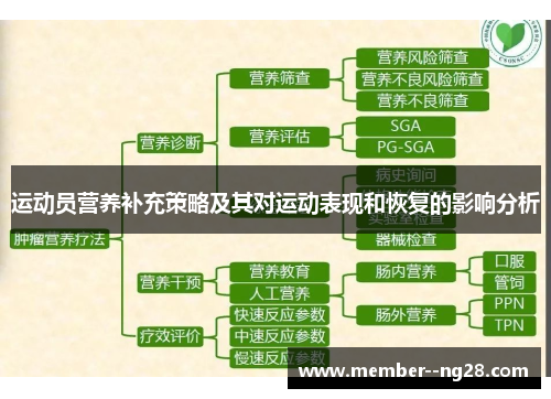 运动员营养补充策略及其对运动表现和恢复的影响分析 运动员营养补充策略及其对运动表现和恢复的影响分析