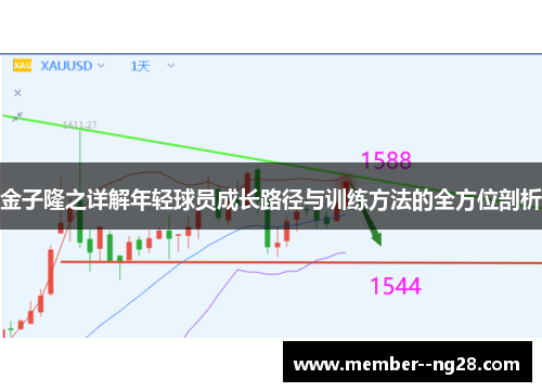 金子隆之详解年轻球员成长路径与训练方法的全方位剖析