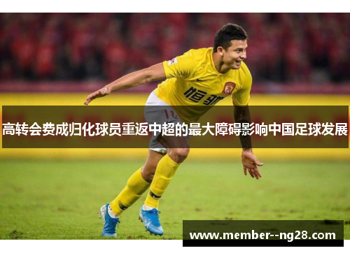 高转会费成归化球员重返中超的最大障碍影响中国足球发展 高转会费成归化球员重返中超的最大障碍影响中国足球发展